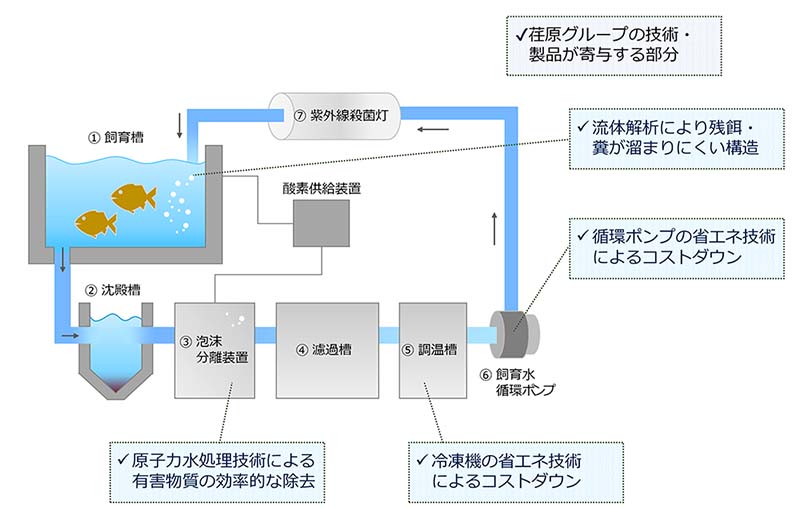 陸上養殖 システムのイメージ図