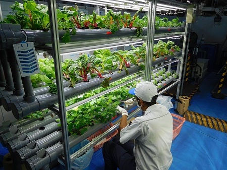 Aquaponics*1 management operations